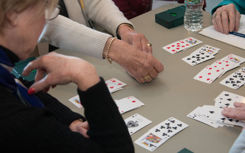 playing bridge